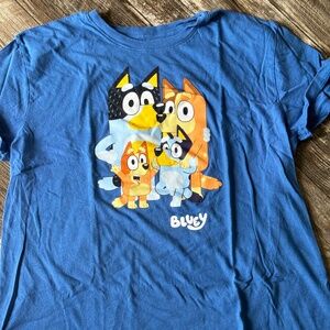 Adult Blue Shirt